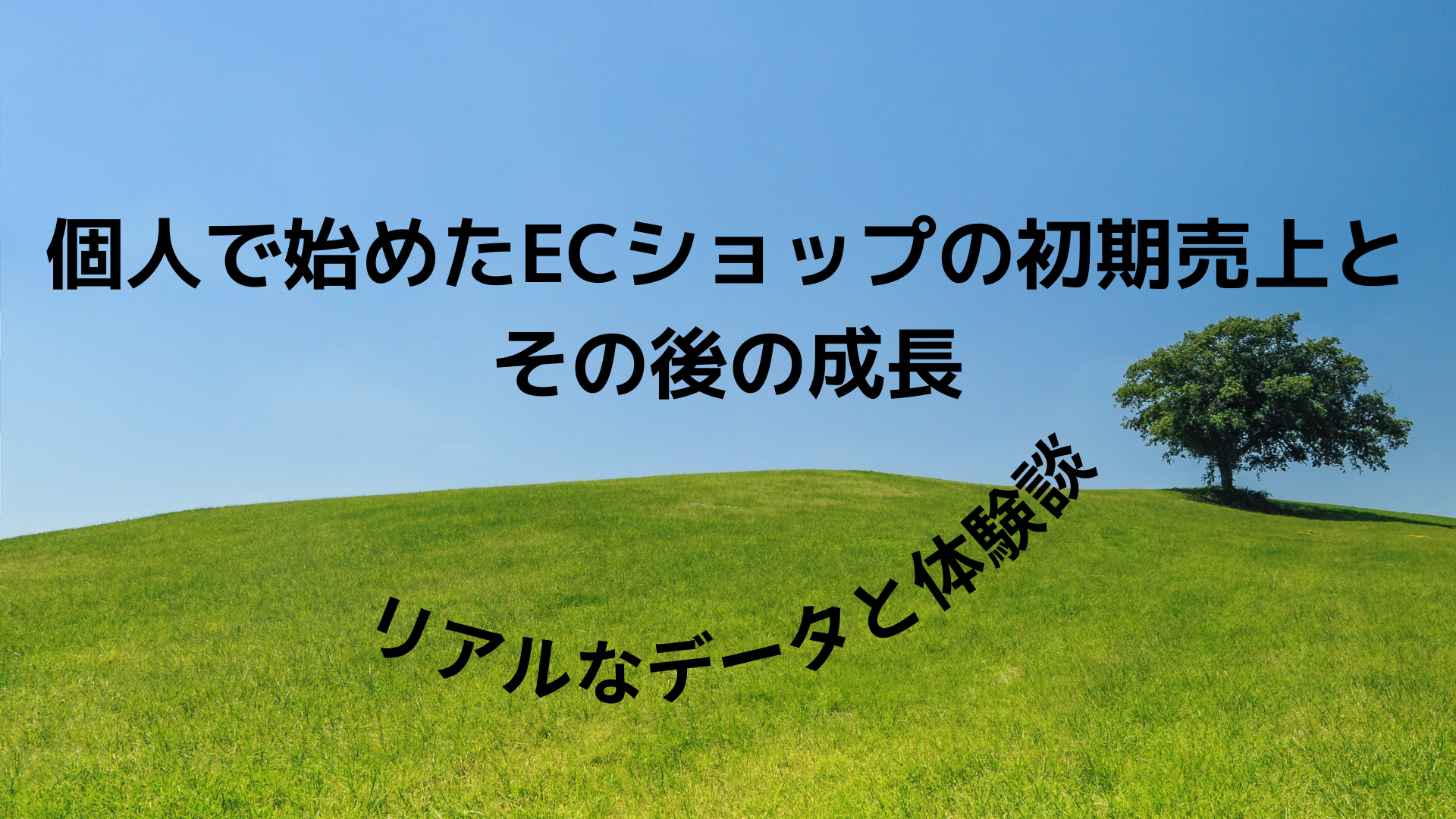 個人でECショップを始めた場合の初期の売上の解説画像